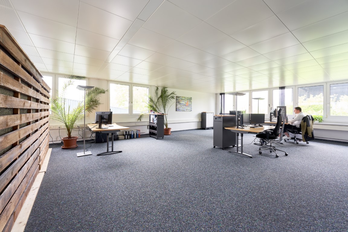 buero-raeumlichkeiten-projekt7-01 Büro mit Pulten und Pflanzen Projekt7