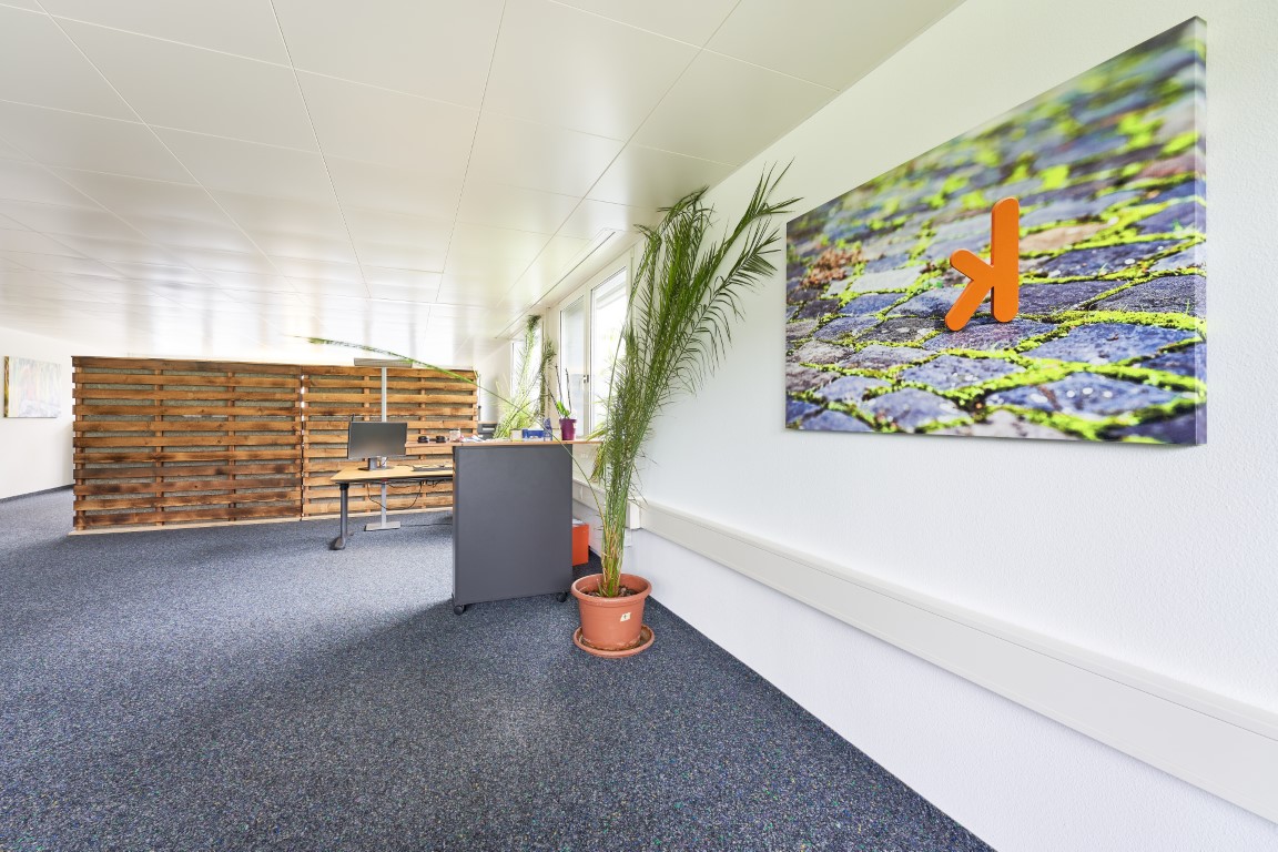 buero-raeumlichkeiten-projekt7-08 Büro Pausenraum mit Sofa und Pflanzen